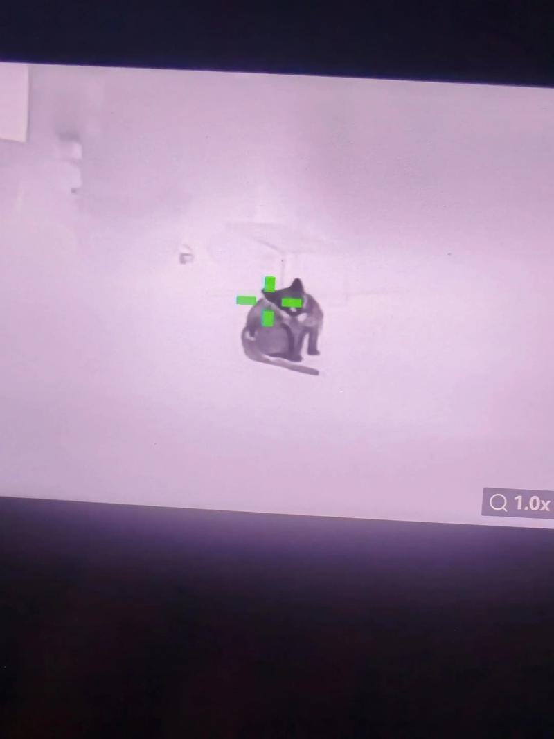 【反作弊系统漏洞】承包春夏衣橱的衬衫,你真的会搭么?